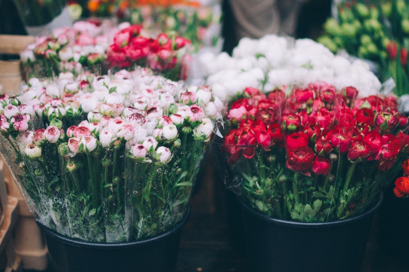 fleuriste-MONTMEYAN-min_farmers-market-1209712