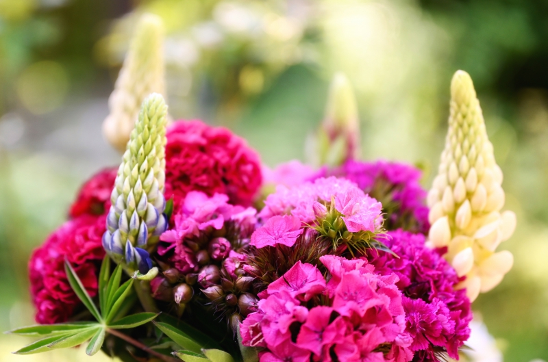 fleuriste-MONTMEYAN-min_flowers-5369794